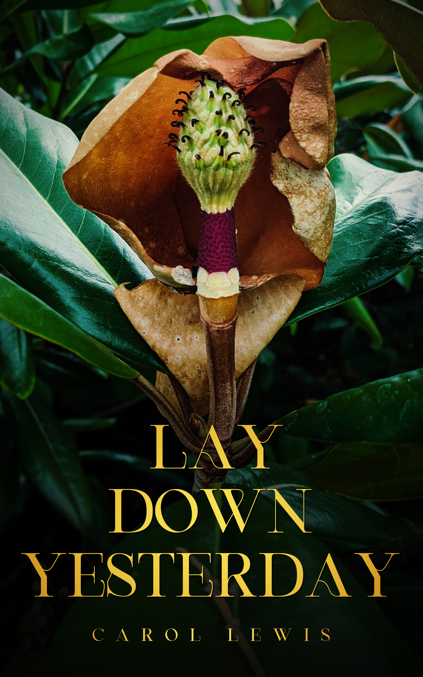 ebook cover – LAY DOWN YESTERDAY (1)